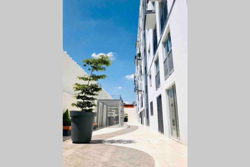 Departamento *Mundo Viajero* Guadalajara Apartment Ngoại thất bức ảnh